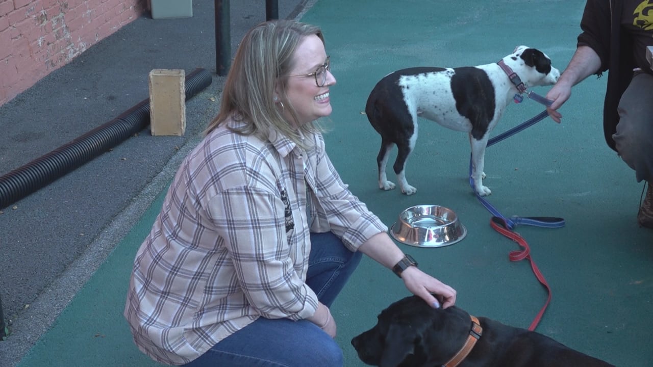 Staunton Native Returns Home, Launches Concert Series Benefiting Local Schools