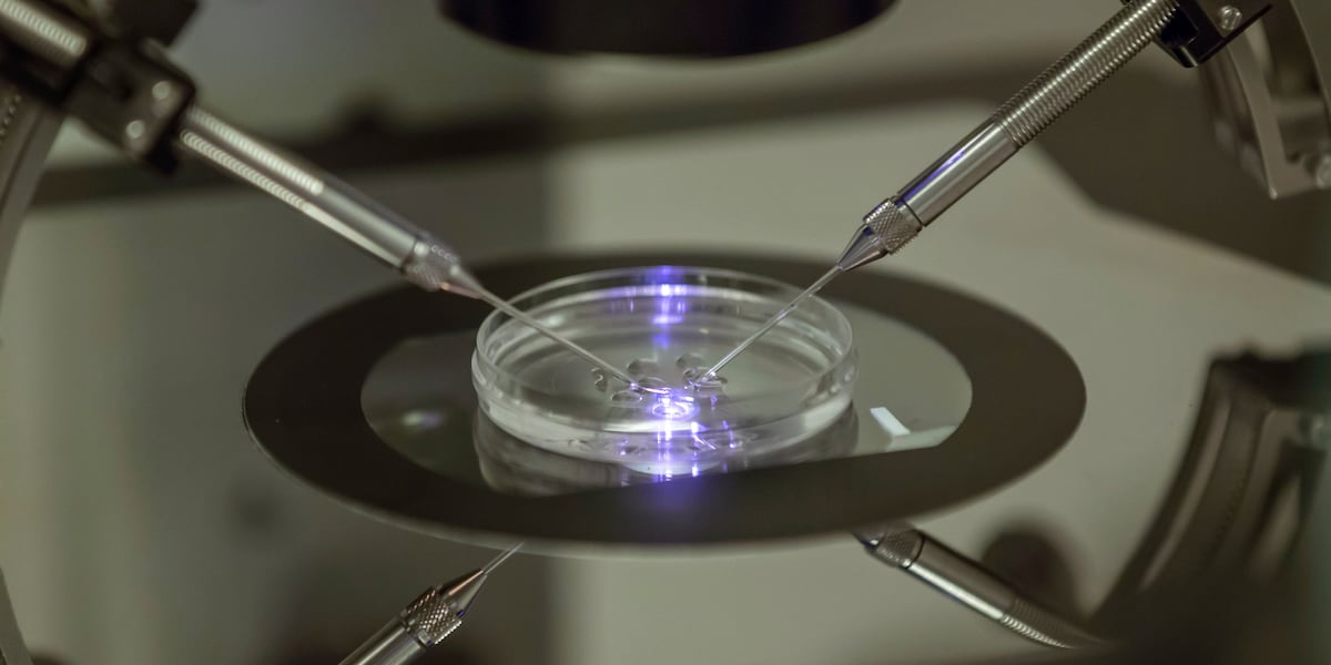 Virginia Families Rejoice: IVF Coverage on the Horizon Thanks to Youngkin's Bill