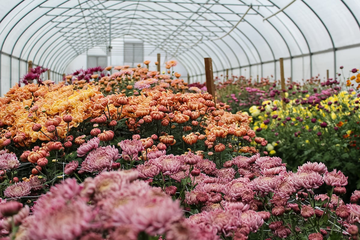 preloaded gallery image