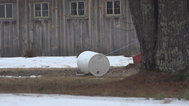 A maple collection barrel at Dry Run Spirits