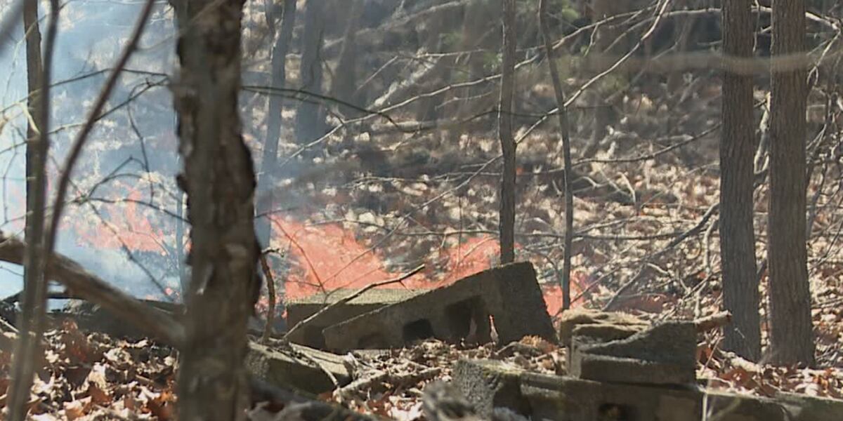 Fire In Spring Yep, Spring Wildfire Season is around the corner