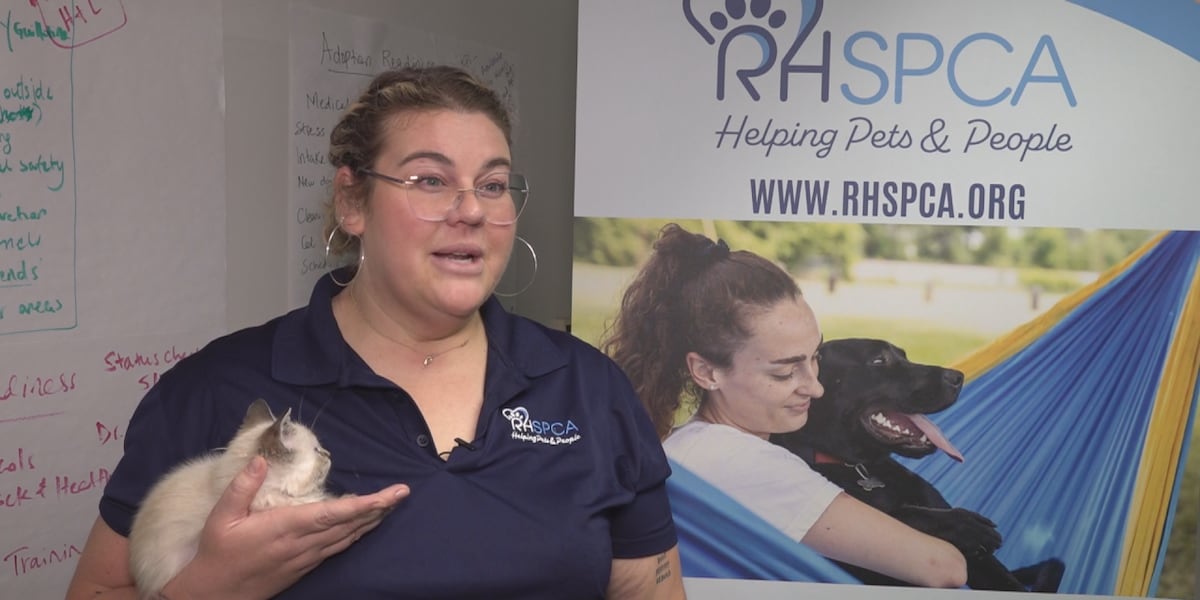 Summer of Love: RHSPCA and PetSmart Partner for National Adoption Week