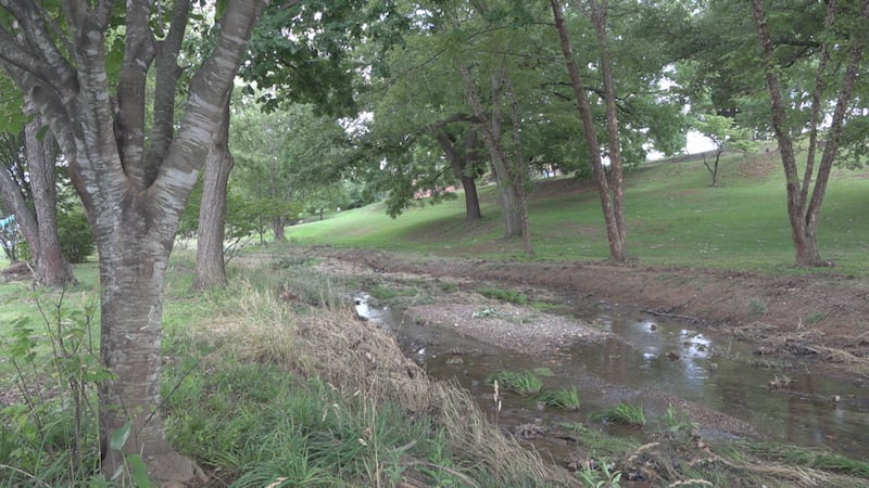 Gypsy Hill Park flood worked "as designed" on Sunday.