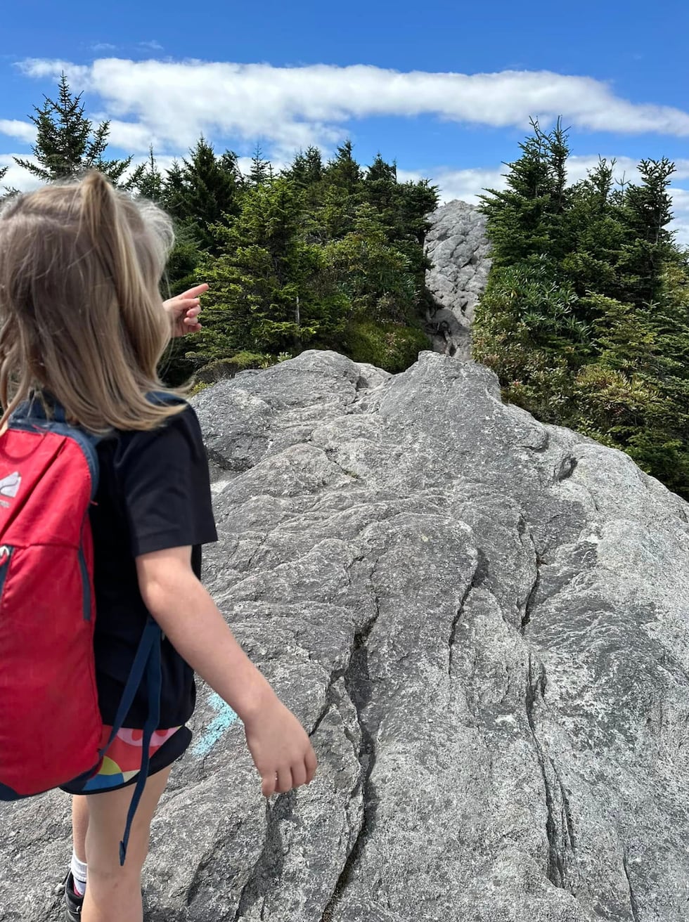 In 2023, Nikki Bettis and her 15 children hiked the entirety of the Appalachian Trail. Her...