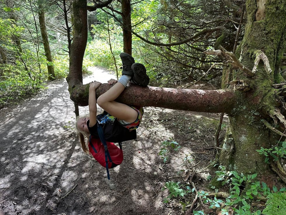 In 2023, Nikki Bettis and her 15 children hiked the entirety of the Appalachian Trail. Her...