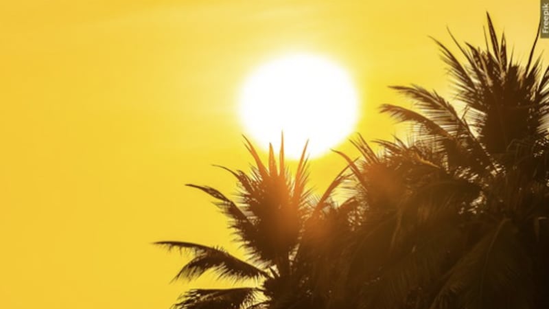 For families, summer can be a time for vacations, camps and making memories, but those...