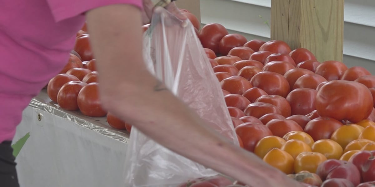 Valley business owner, expert economist weigh in on rising grocery prices