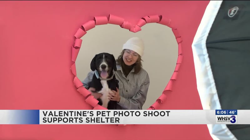 Pet owners brought their animals for a festive photo shoot with funds from the session going...