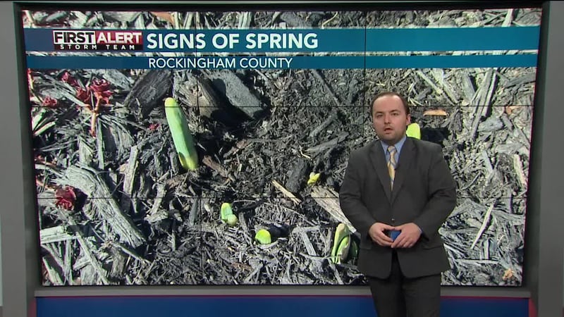 Meteorologist Cody Barnhart gives us a look at our forecast heading into the weekend.