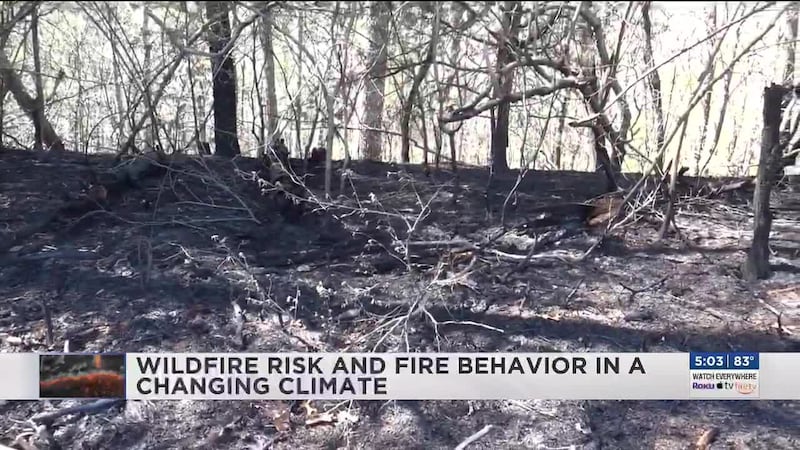 As temperatures rise and drought conditions become more common, experts say Virginia could see...