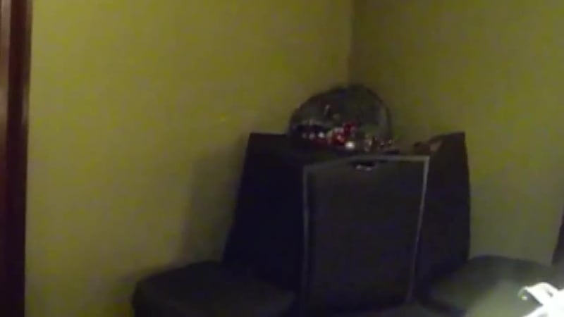 Authorities say the raccoon bit a diner who tried to capture it. (WDJT, VIEWER VIDEO, WALWORTH...